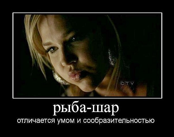 http://cs4742.vkontakte.ru/u27576257/120687185/x_a630b399.jpg